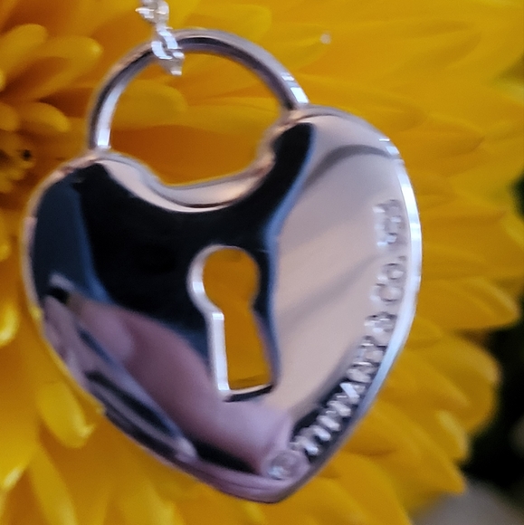 Tiffany & Co. Heart Padlock Lock Necklace 16" Sterling Silver 925 - Picture 8 of 12